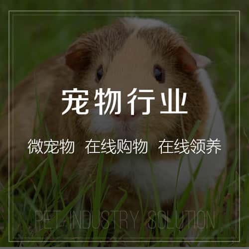 克拉玛依宠物